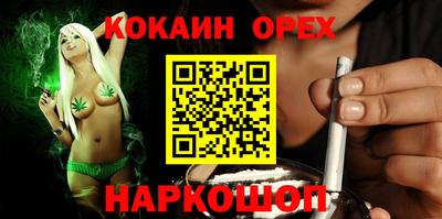 крисы Краснодар