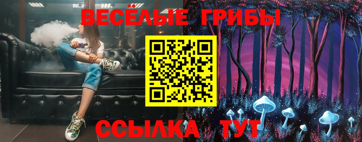 Кольчугино  Псилоцибиновые грибы Psilocybine cubensis  Псилоцибиновые грибы Cubensis  Вход с VPN 